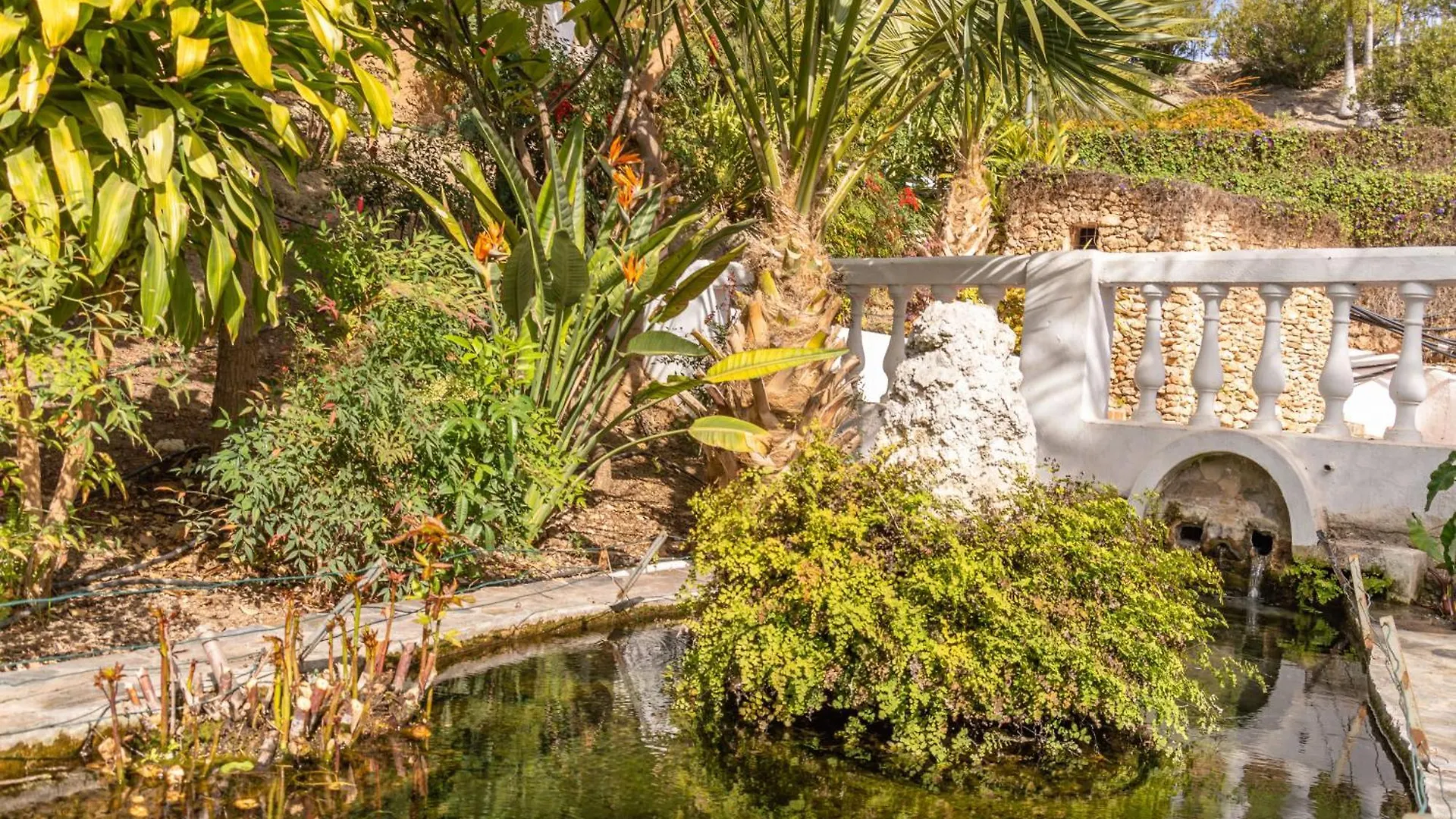 Casablanca 20 Oasis Properties Nerja