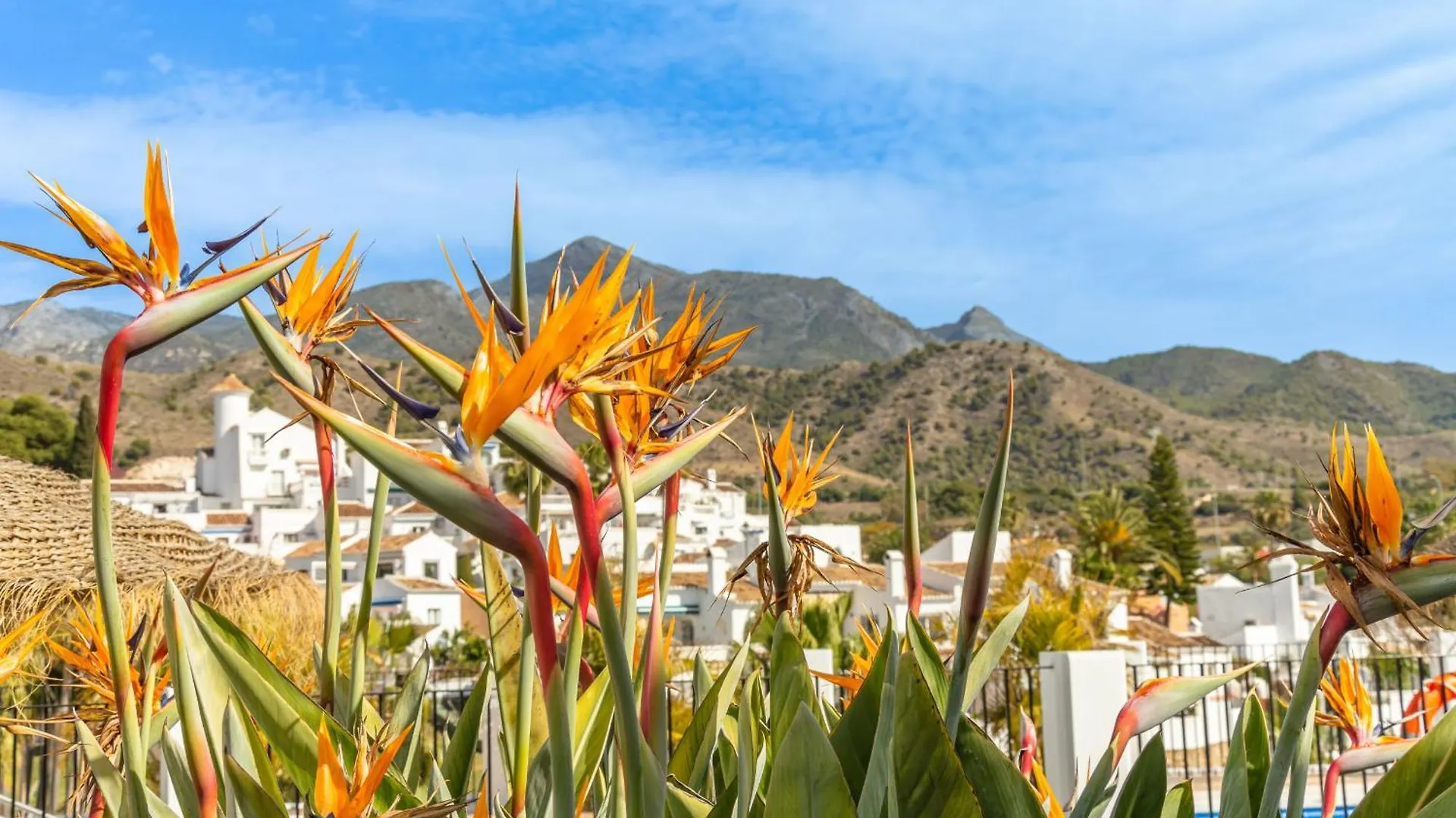 Apartment Casablanca 20 Oasis Properties Nerja Spain