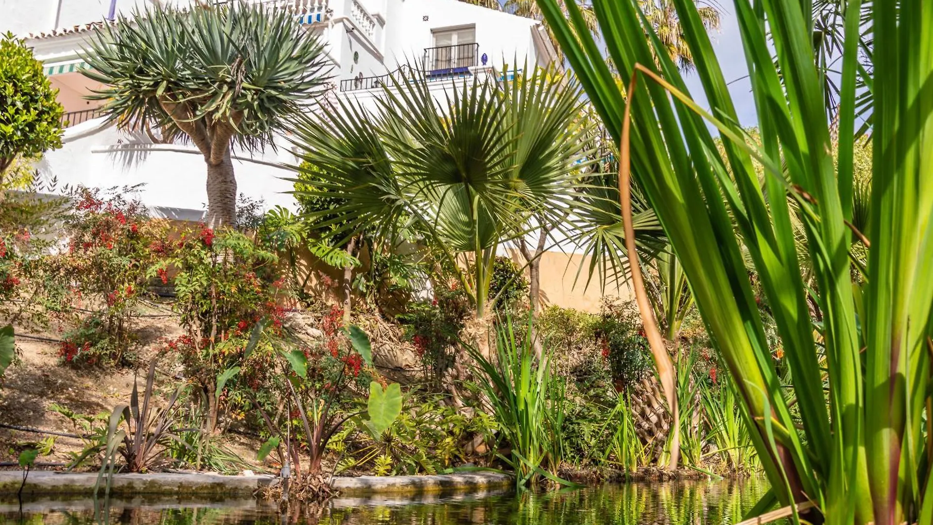 Casablanca 20 Oasis Properties Nerja