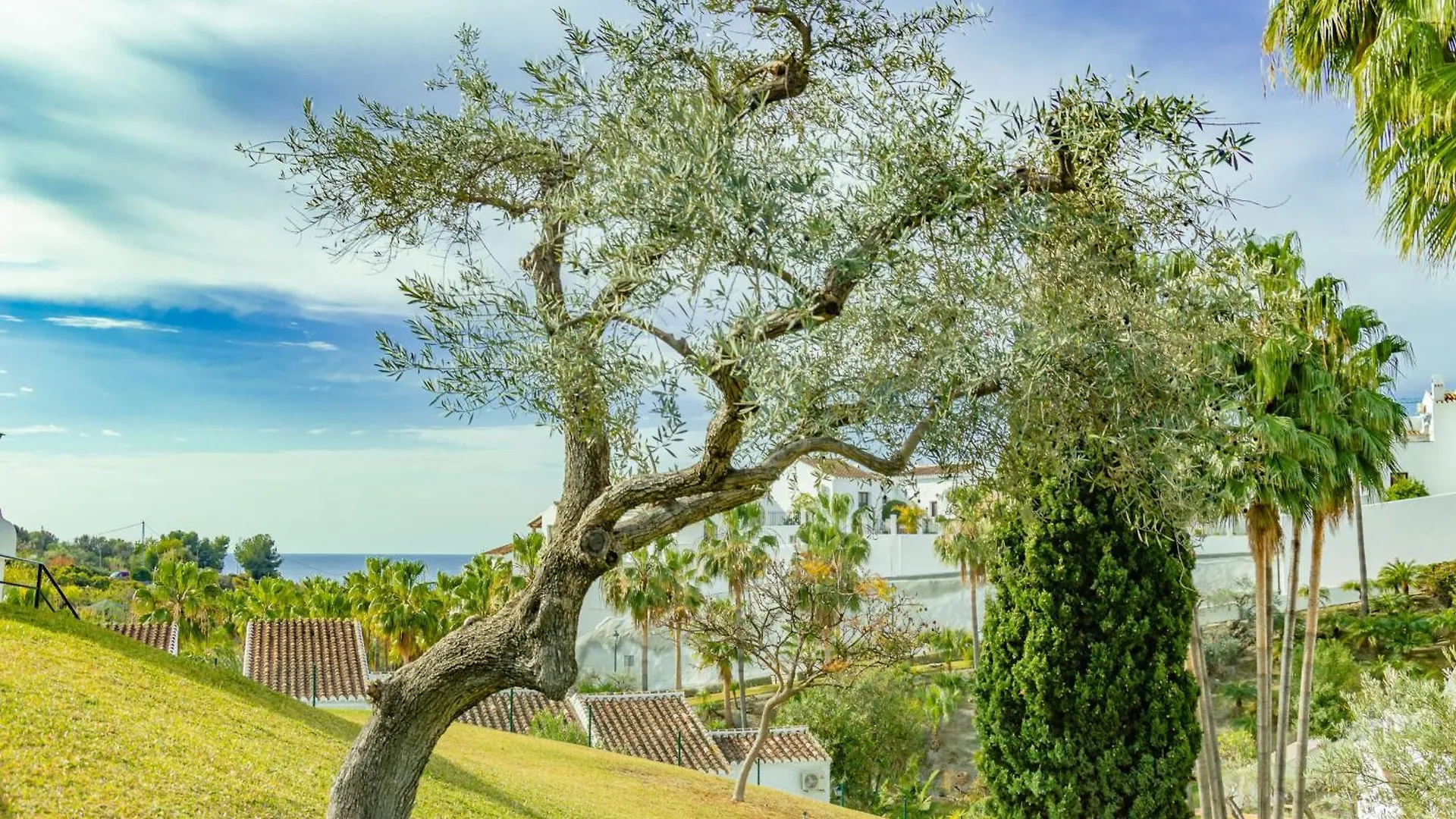 Casablanca 20 Oasis Properties Nerja Spain